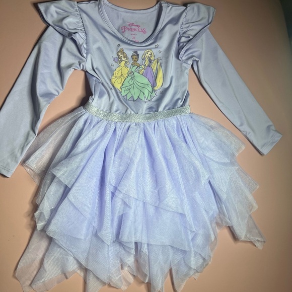 Disney Purple Theater Costume Dress with Frog Design - Picture 5 of 6